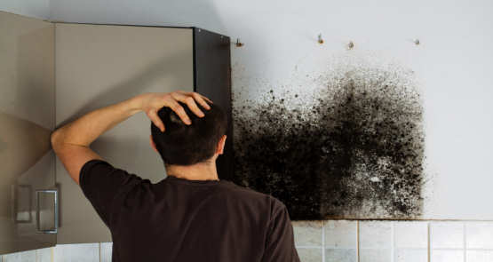 Penetrating Damp